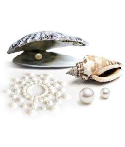 Sextoys, sexshop, loveshop, lingerie sexy : Nippies Cache Seins : Bijoux indiscrets - Nippies Cache tétons Pearl Blanc Ivoire