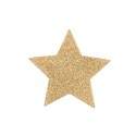 Sextoys, sexshop, loveshop, lingerie sexy : Nippies Cache Seins : Bijoux Indiscrets- Cache Seins étoile Or Paillettes