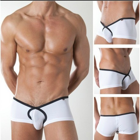 Boxer "XL"