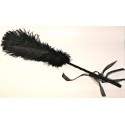 Plumeau Caresse en Plume Noir d'Autruche