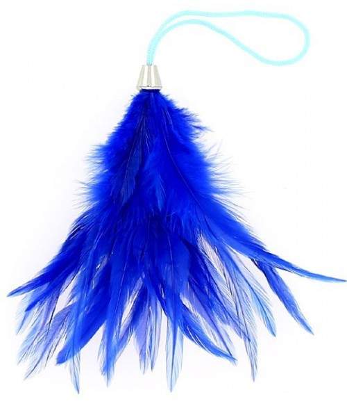 Sextoys, sexshop, loveshop, lingerie sexy : Caresses et Masques : Bracelet Plume bleu Pour Caresses