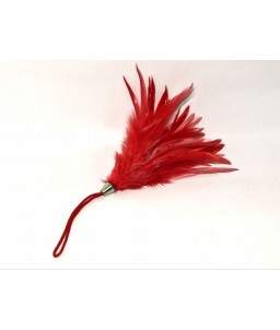 Sextoys, sexshop, loveshop, lingerie sexy : Caresses et Masques : Bracelet Plume Rouge Pour Caresses