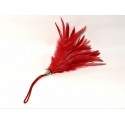 Sextoys, sexshop, loveshop, lingerie sexy : Caresses et Masques : Bracelet Plume Rouge Pour Caresses