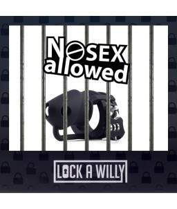 Sextoys, sexshop, loveshop, lingerie sexy : Cages de chasteté : Cage de chasteté pour homme - Lock a willy