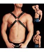 Sextoys, sexshop, loveshop, lingerie sexy : Harnais bdsm : Harnais homme BDSM