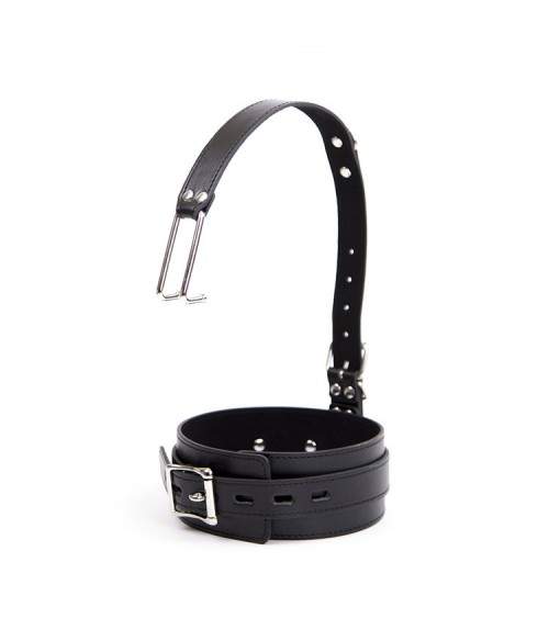 Sextoys, sexshop, loveshop, lingerie sexy : Colliers BDSM : Collier avec tire nez BDSM