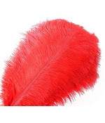 Plumeau Pour Caresses Noir En Plumes