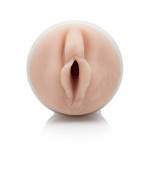 Fleshlight Girls Jenna Haze Lotus E21882