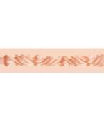 Sextoys, sexshop, loveshop, lingerie sexy : Masturbateur - Vagin Artificiel : Fleshlight Girls Adriana Chechik Vagin