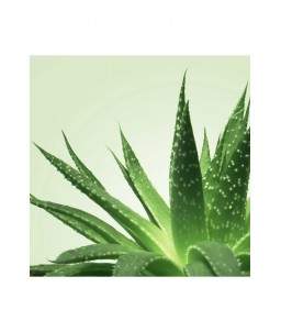 Sextoys, sexshop, loveshop, lingerie sexy : Massage Nuru : Mixgliss - Gel de massage nuru aloe vera 150 ml