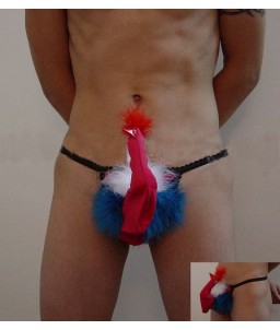 Sextoys, sexshop, loveshop, lingerie sexy : Boxers & Strings : String Humoristique Coq avec plumes