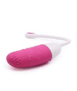 Sextoys, sexshop, loveshop, lingerie sexy : Vibro Oeuf : Magic Motion - Magic Vini