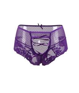 Sextoys, sexshop, loveshop, lingerie sexy : Strings & Boxers : Culotte Taille haute Violet
