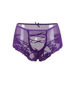 Sextoys, sexshop, loveshop, lingerie sexy : Strings & Boxers : Culotte Taille haute Violet S/M