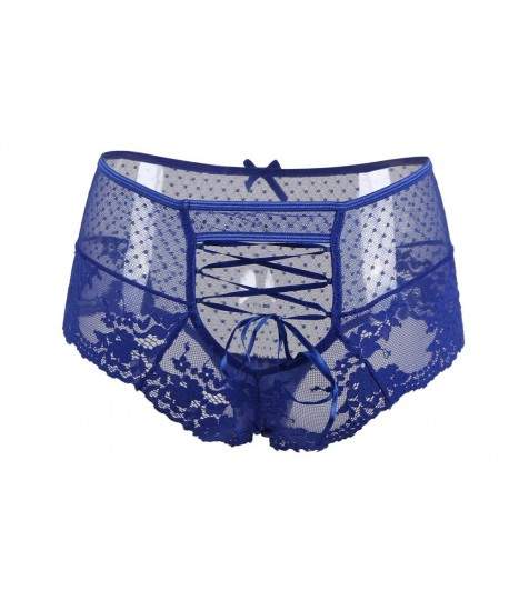 Sextoys, sexshop, loveshop, lingerie sexy : Strings & Boxers : Culotte Taille haute Bleu