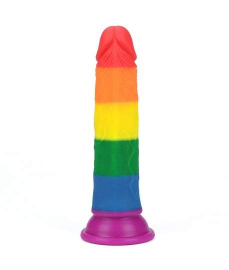 Sextoys, sexshop, loveshop, lingerie sexy : Gode Ventouse : Lovetoy- Gode droit Arc en ciel