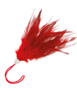 Sextoys, sexshop, loveshop, lingerie sexy : Caresses et Masques : Bracelet Plume Rouge Pour Caresses