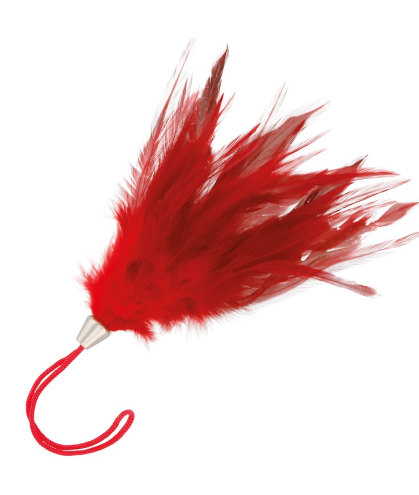 Sextoys, sexshop, loveshop, lingerie sexy : Caresses et Masques : Bracelet Plume Rouge Pour Caresses