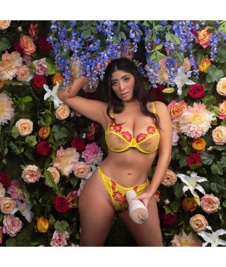 Sextoys, sexshop, loveshop, lingerie sexy : Masturbateur - Vagin Artificiel : Fleshlight Girls vagin Violet Myers Waifu