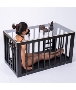 Sextoys, sexshop, loveshop, lingerie sexy : Loveroom - Mobilier BDSM : Cage table basse - Loveroom - Mobilier BDSM