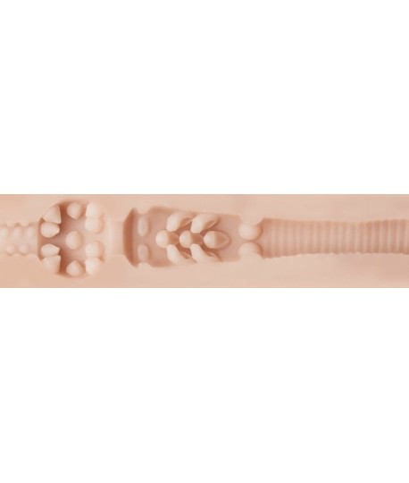 Sextoys, sexshop, loveshop, lingerie sexy : Masturbateur - Vagin Artificiel : Fleshlight Girls Stoya destroya