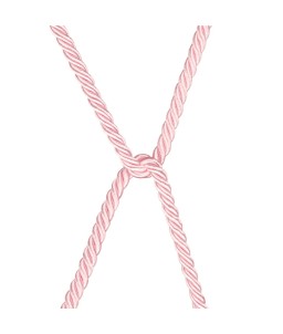 Accessoire BDSM Eveselache