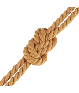 Accessoire BDSM Eveselache