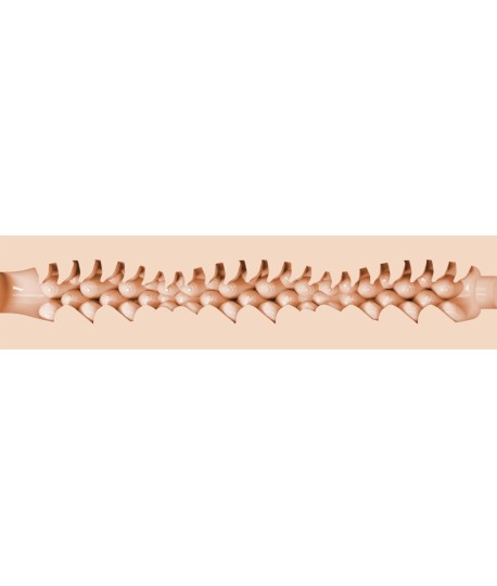 Sextoys, sexshop, loveshop, lingerie sexy : Masturbateur - Vagin Artificiel : Fleshlight Fantasy Girls vagin Evie Akashiya