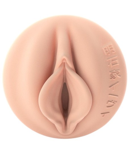 Sextoys, sexshop, loveshop, lingerie sexy : Masturbateur - Vagin Artificiel : Fleshlight Fantasy Girls vagin Evie Akashiya