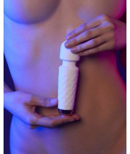 Sextoys, sexshop, loveshop, lingerie sexy : Stimulateur Clitoris : Dorcel - Mini Wanderful