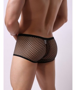 Boxer "M"  0081
