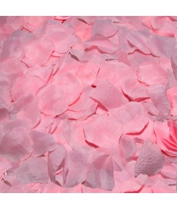 Sextoys, sexshop, loveshop, lingerie sexy : Jeux Coquins : Petales de roses en tissus