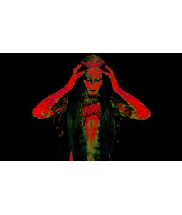 Sextoys, sexshop, loveshop, lingerie sexy : Masturbateur - Vagin Artificiel : Fleshlight fantasy Predator