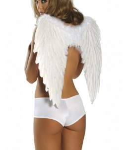 Sextoys, sexshop, loveshop, lingerie sexy : Deguisement Femme sexy : Ailes pour Costume Ange Blanc