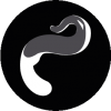 Tous nos sextoys de luxe